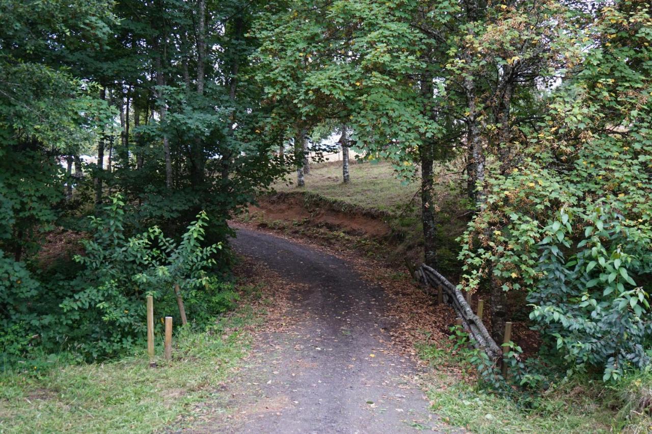 Cabanas Am Berg Pucón Kültér fotó