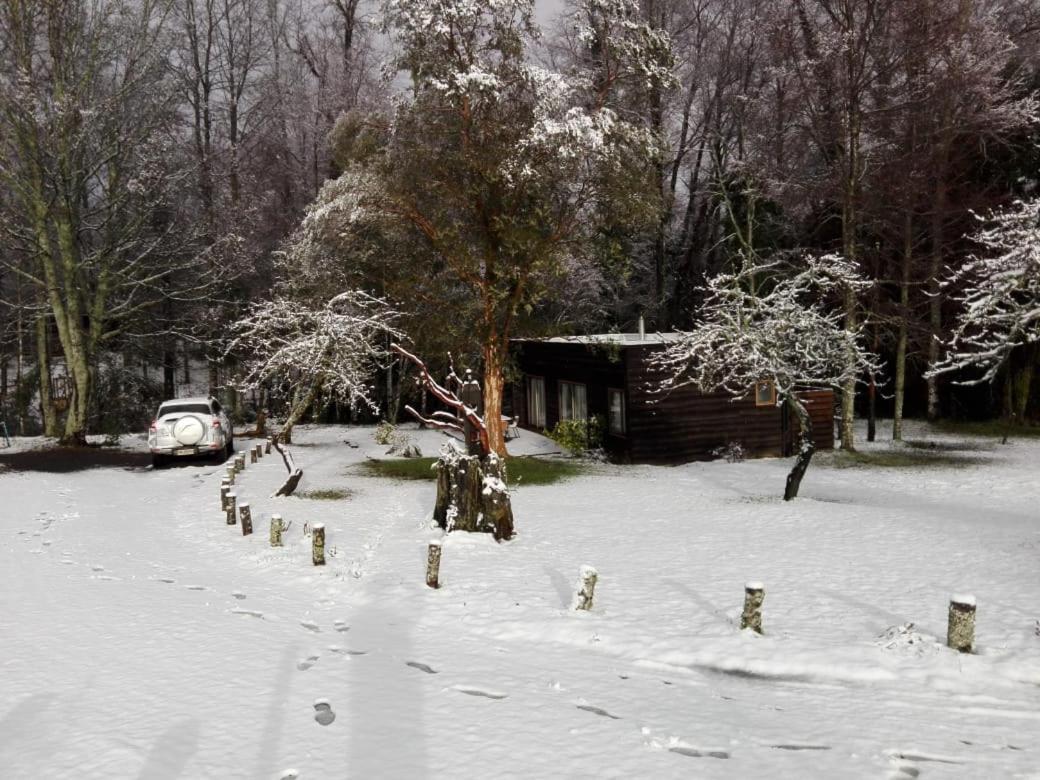 Cabanas Am Berg Pucón Kültér fotó