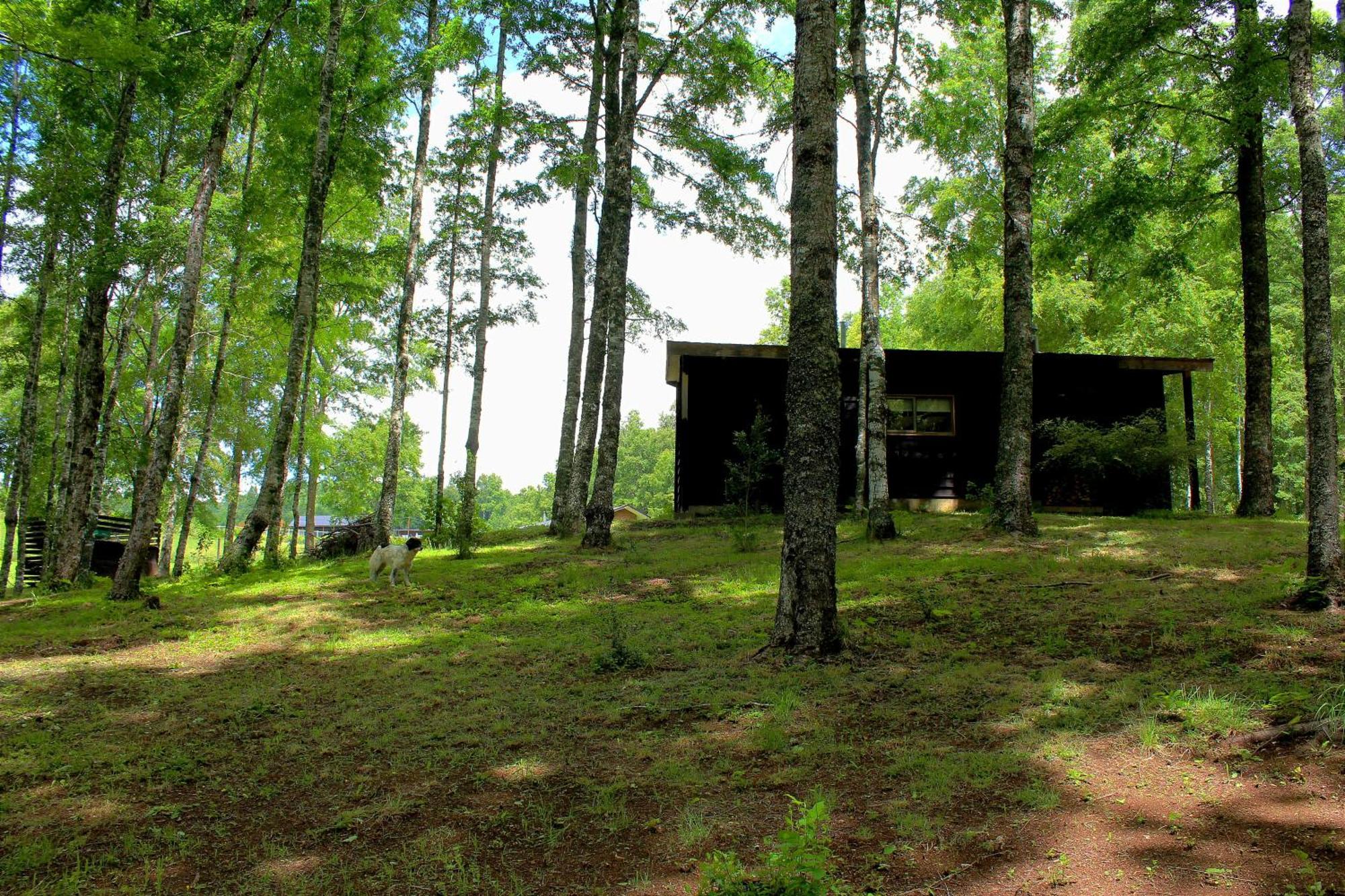 Cabanas Am Berg Pucón Kültér fotó