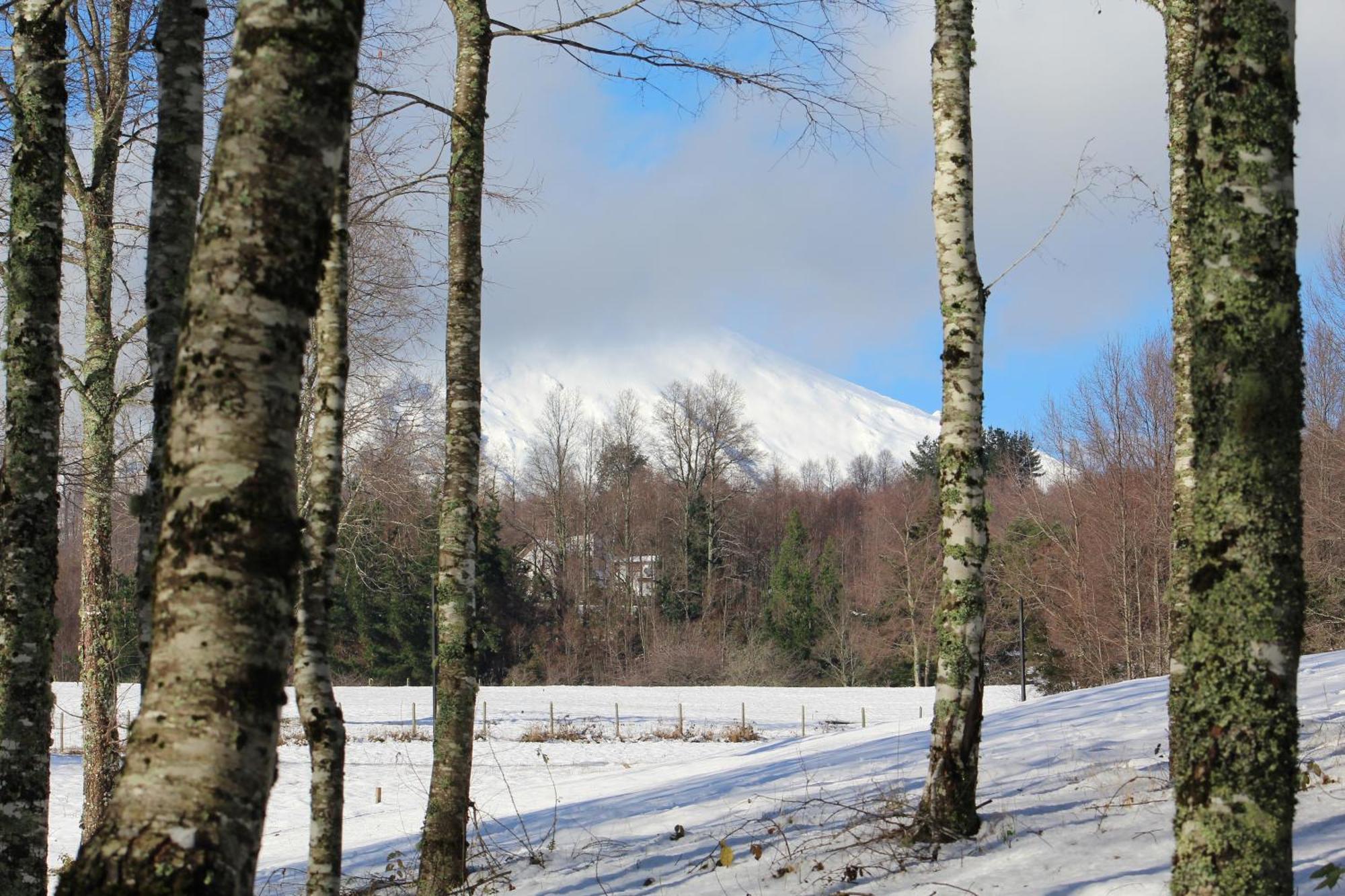 Cabanas Am Berg Pucón Kültér fotó