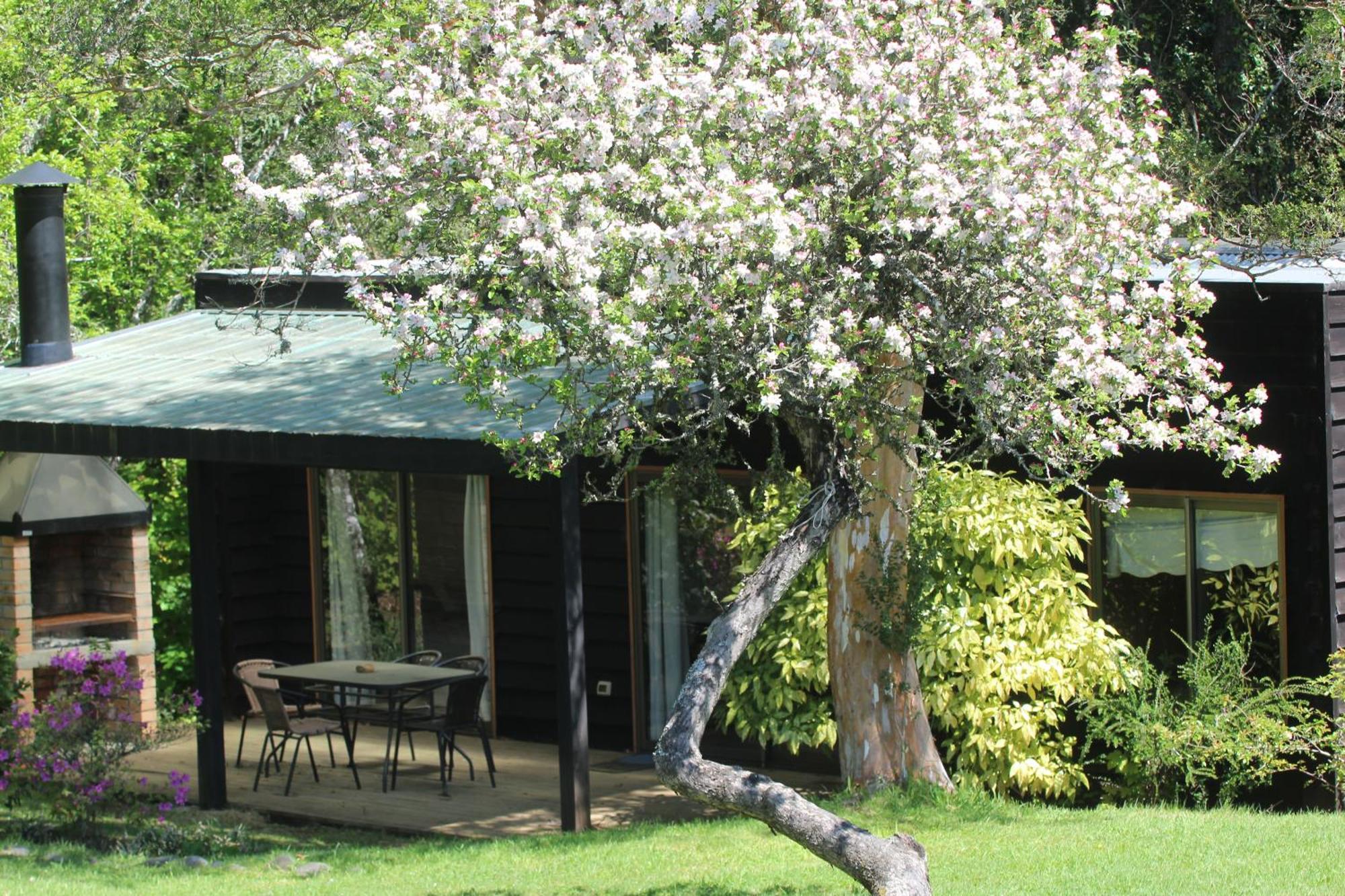 Cabanas Am Berg Pucón Kültér fotó