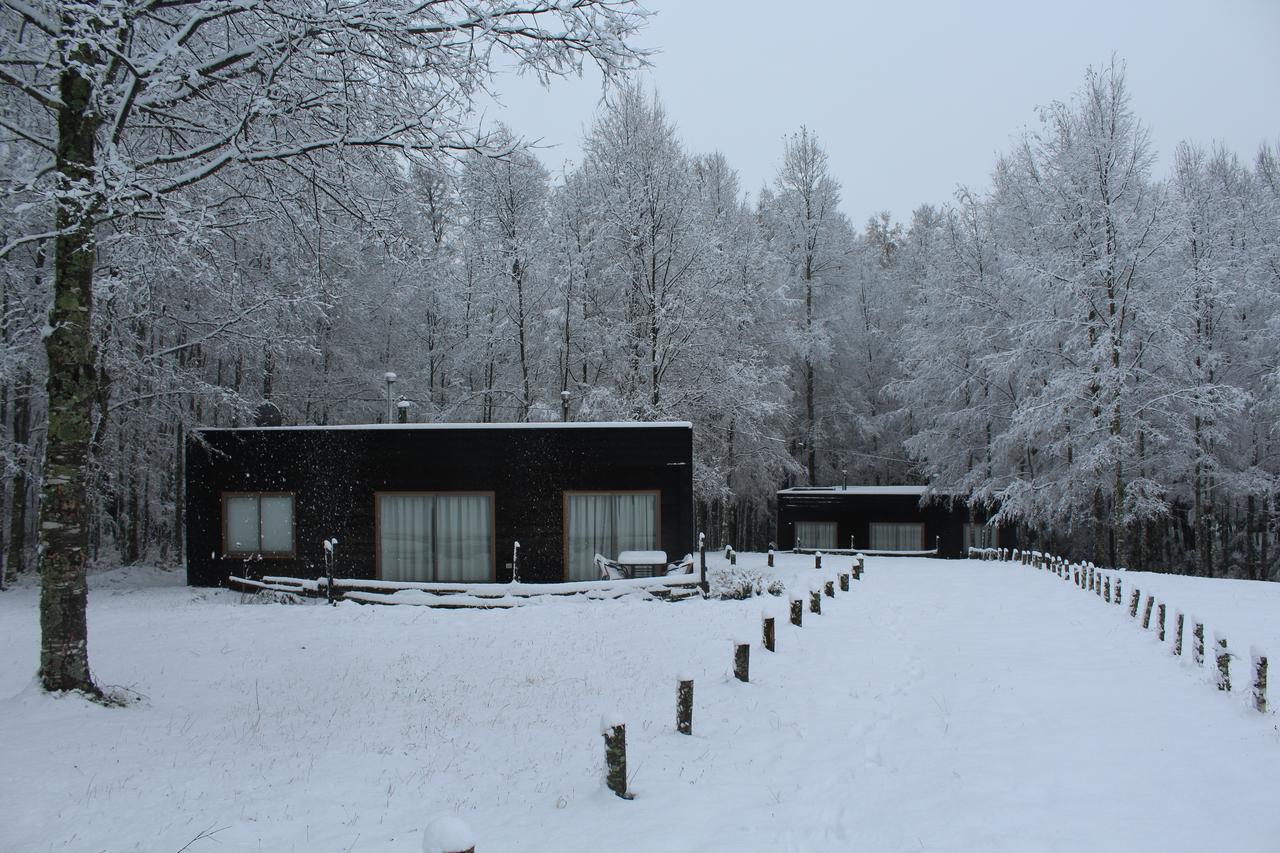 Cabanas Am Berg Pucón Kültér fotó