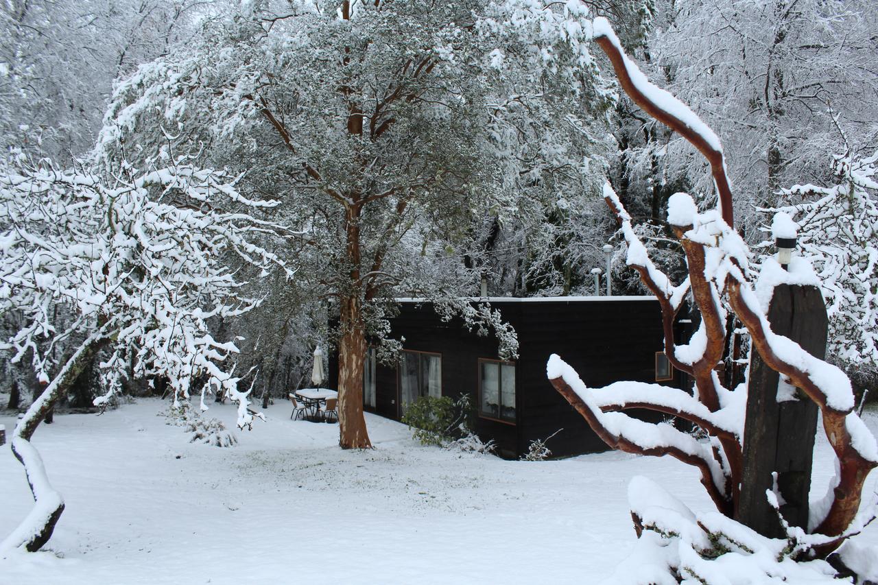 Cabanas Am Berg Pucón Kültér fotó