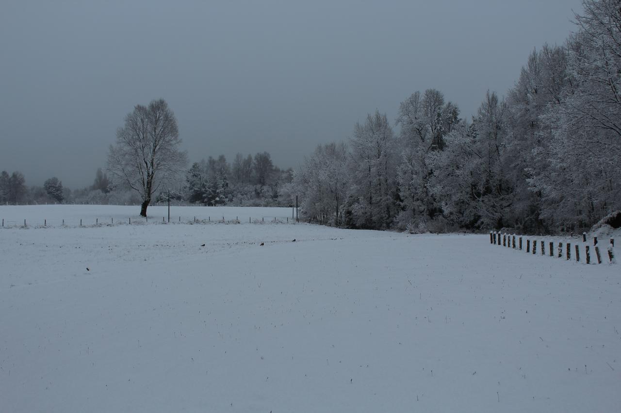 Cabanas Am Berg Pucón Kültér fotó